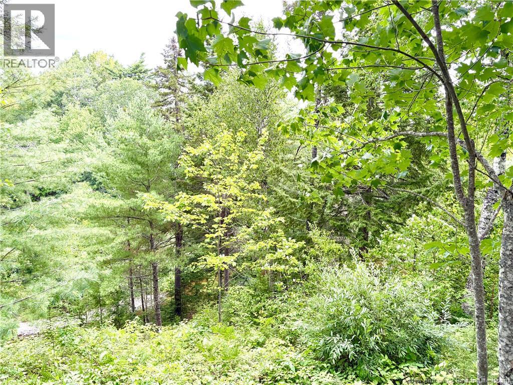 34 Tower Road, Havelock, New Brunswick  E4Z 5T8 - Photo 41 - NB144771