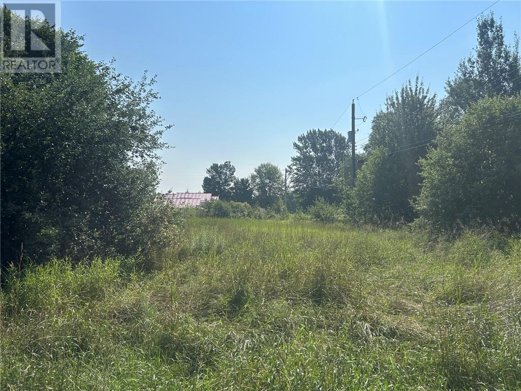 Lt 84 Limberlost Lane, Mindemoya, Ontario P0P 1S0 - Photo 4 - 2129598