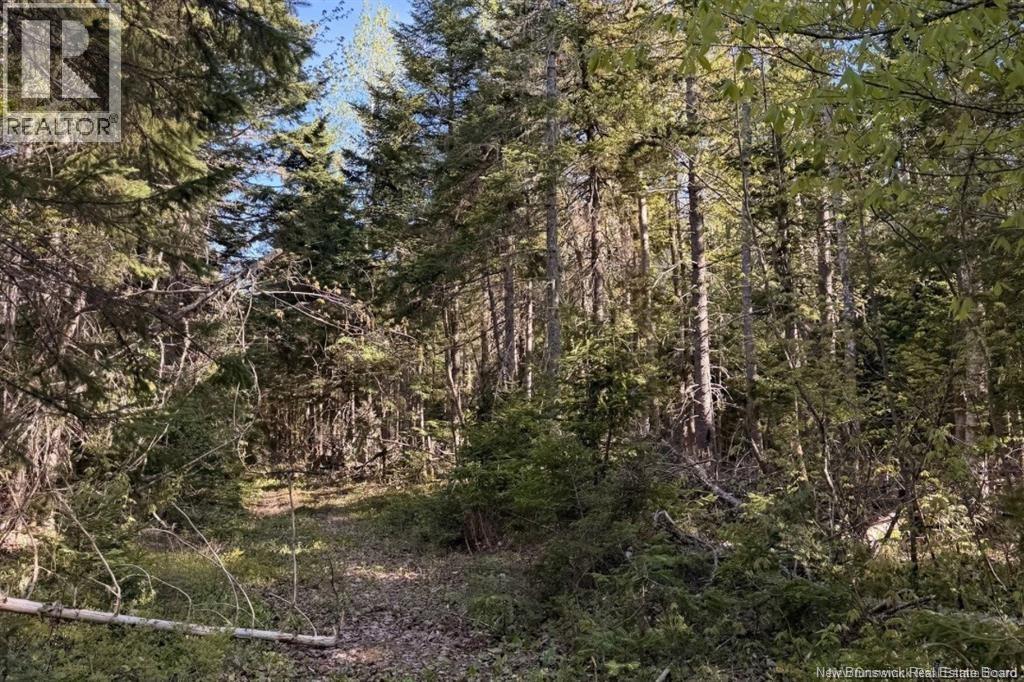 Goshen Road, Portage Vale, New Brunswick  E4Z 2L4 - Photo 5 - NB145217