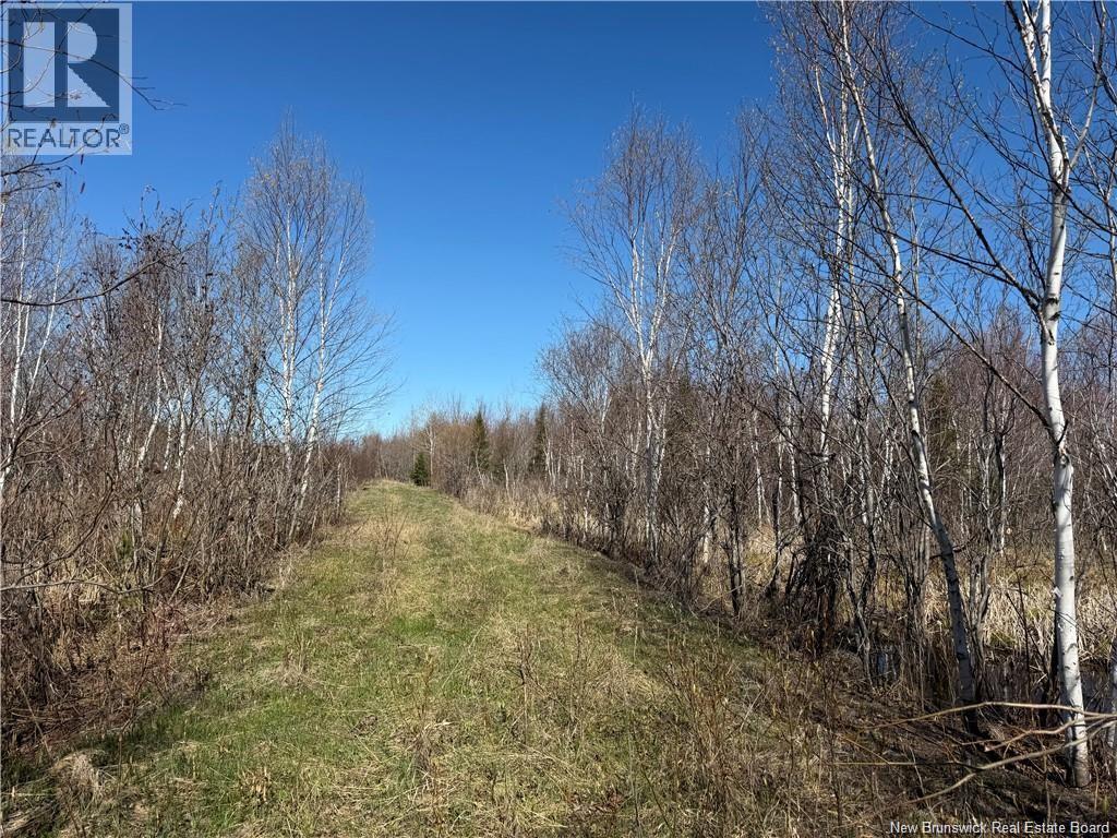 129 Acres Route 340, Canobie, New Brunswick  E2A 5E7 - Photo 3 - NB145239