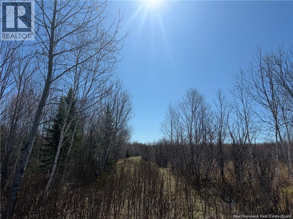 129 Acres Route 340, Canobie, New Brunswick  E2A 5E7 - Photo 5 - NB145239