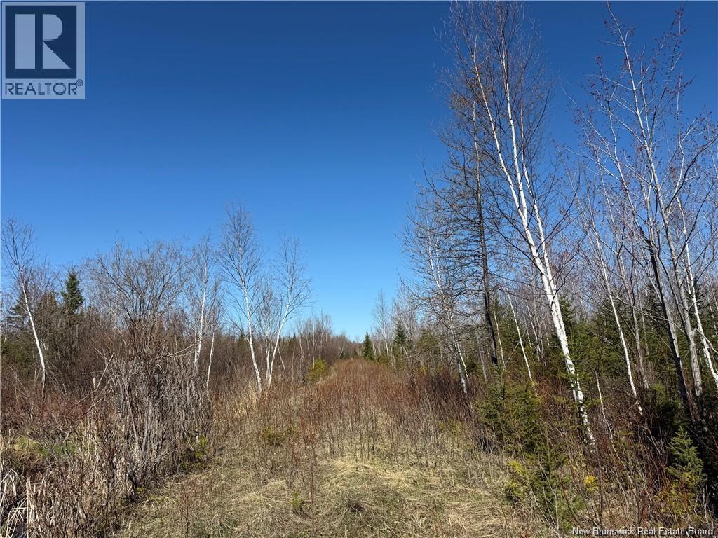 129 Acres Route 340, Canobie, New Brunswick  E2A 5E7 - Photo 6 - NB145239
