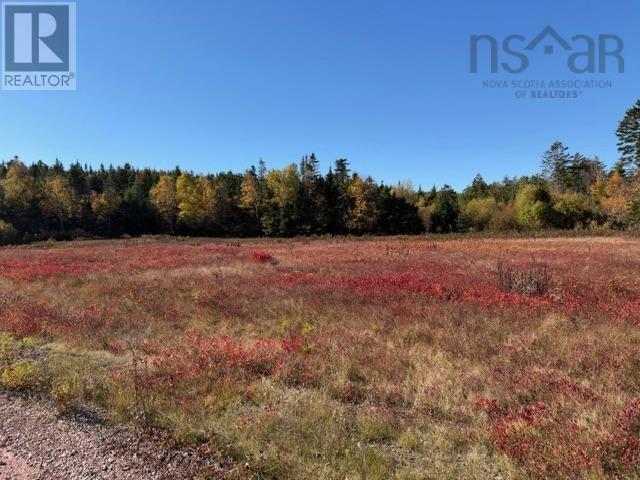 100 Acres Spencers Beach (Hwy 209) Road, Spencers Island, Nova Scotia  B0M 1S0 - Photo 1 - 202502038