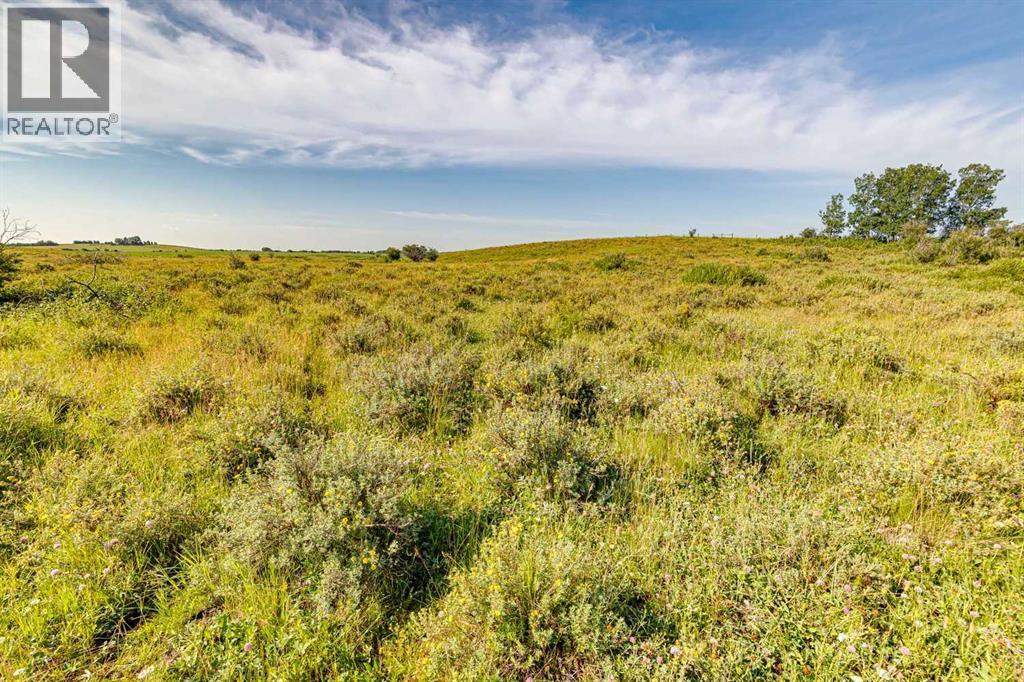 370 Ave W, Rural Foothills County, Alberta  T0L 0H0 - Photo 12 - A2331086