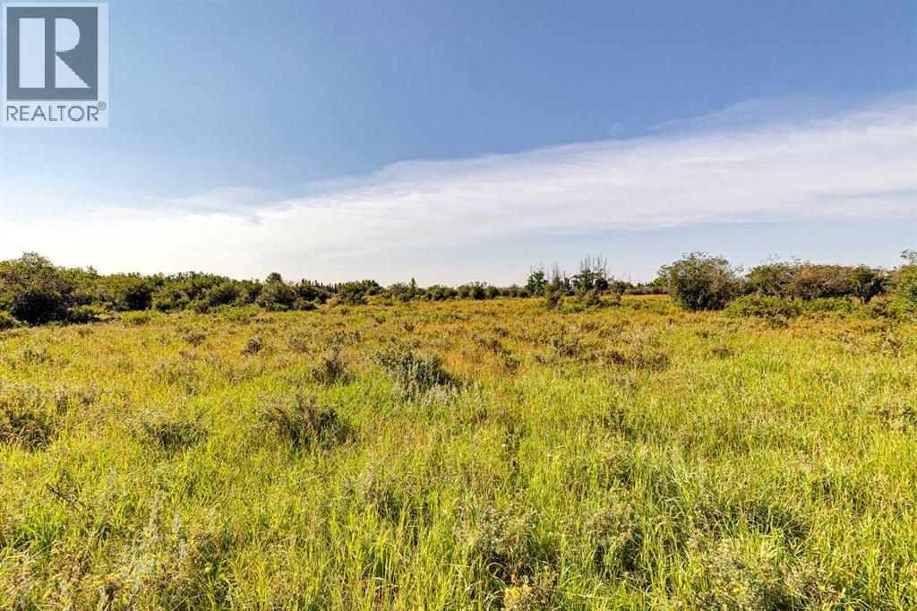 370 Ave W, Rural Foothills County, Alberta  T0L 0H0 - Photo 2 - A2331086