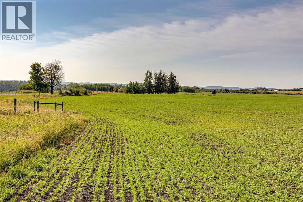370 Ave W, Rural Foothills County, Alberta  T0L 0H0 - Photo 1 - A2331086