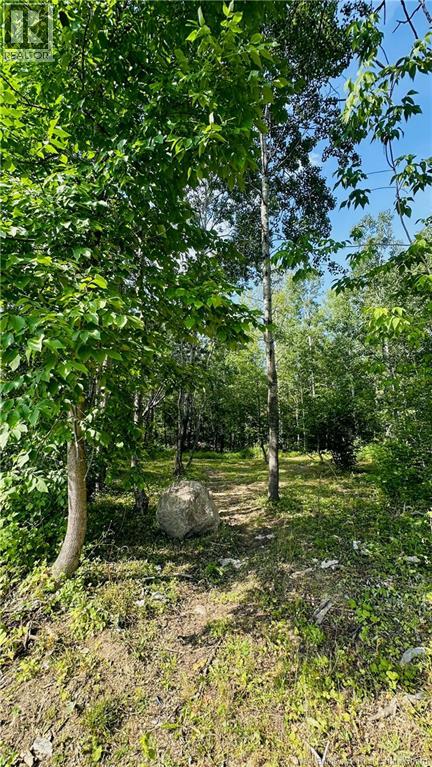 470 Sharps Mountain Road, Newburg, New Brunswick  E7N 1Y2 - Photo 27 - NB144963