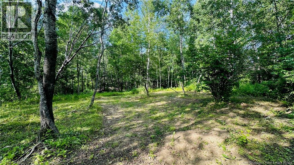 470 Sharps Mountain Road, Newburg, New Brunswick  E7N 1Y2 - Photo 28 - NB144963