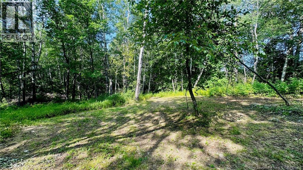 470 Sharps Mountain Road, Newburg, New Brunswick  E7N 1Y2 - Photo 29 - NB144963