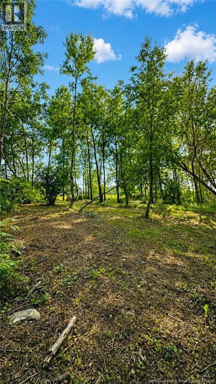 470 Sharps Mountain Road, Newburg, New Brunswick  E7N 1Y2 - Photo 8 - NB144963