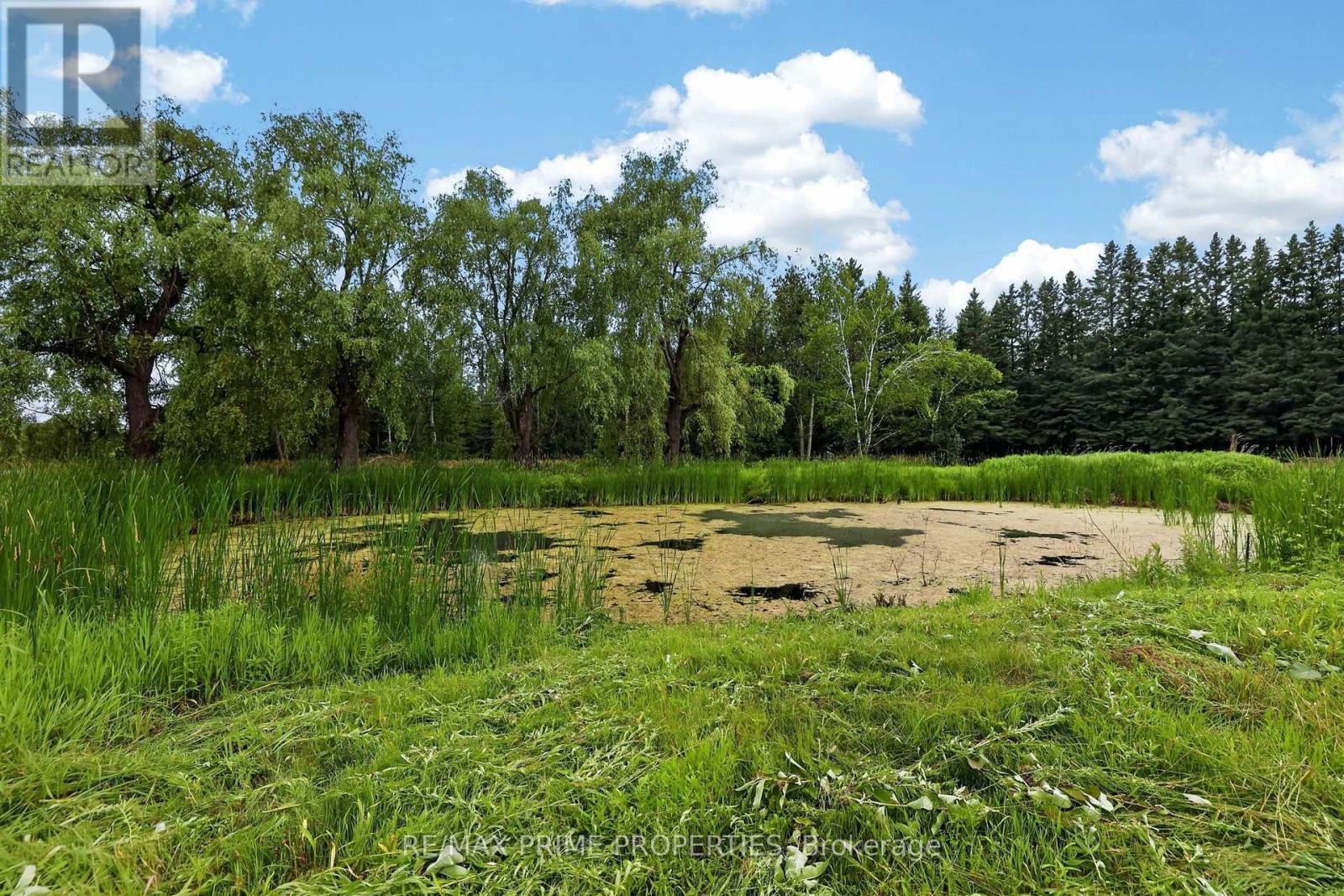 8538 Old Shiloh Road, Georgina, Ontario  L0E 1N0 - Photo 42 - N13632790