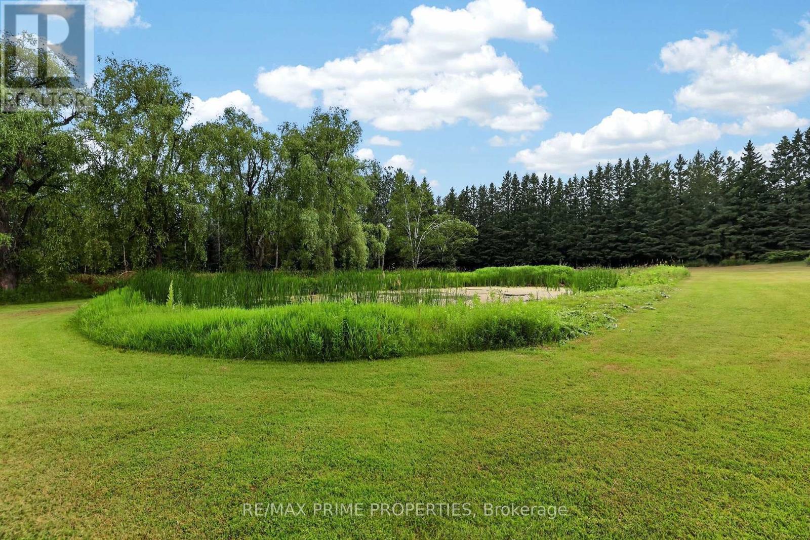 8538 Old Shiloh Road, Georgina, Ontario  L0E 1N0 - Photo 43 - N13632790