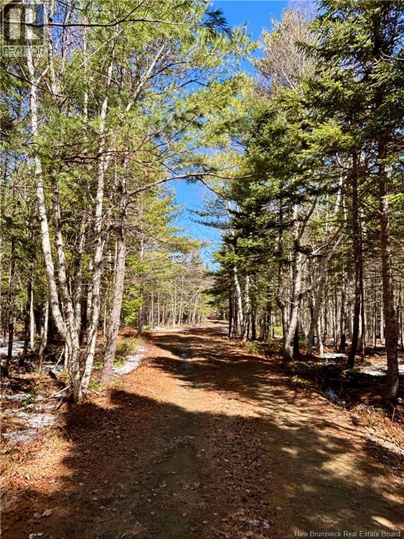 262 Straightbrook Road, Tabusintac, New Brunswick  E9H 2B3 - Photo 29 - NB145241