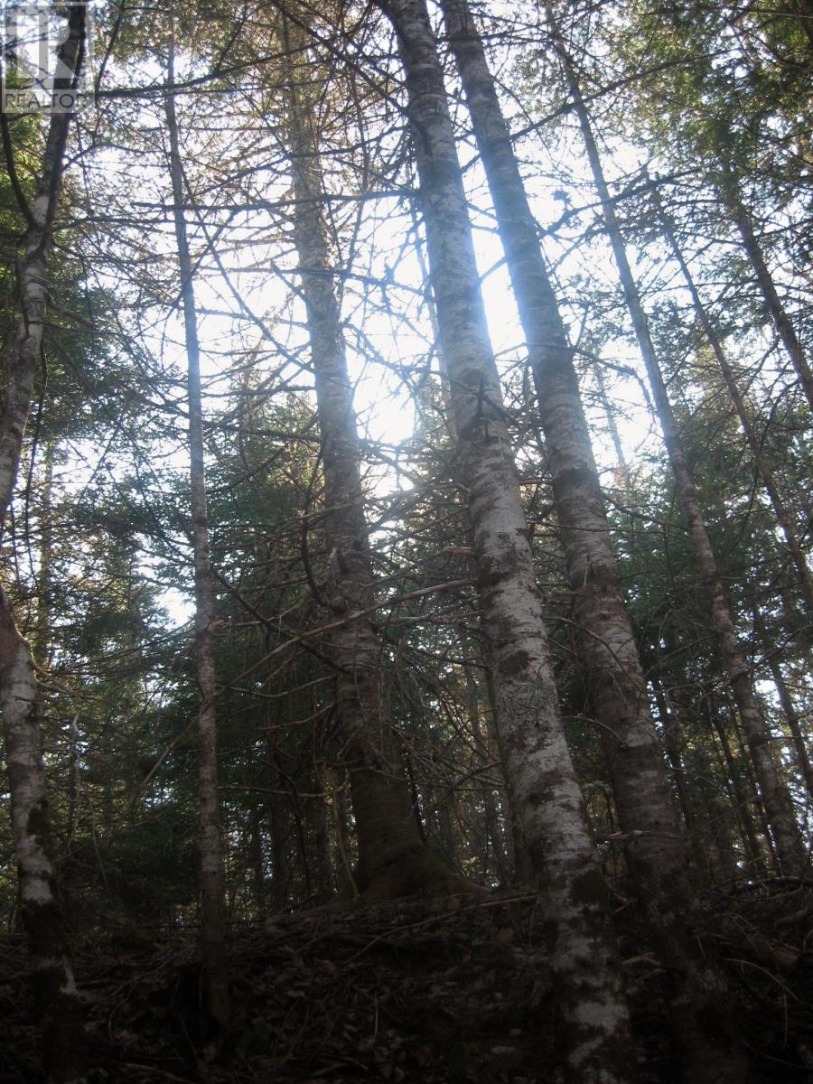 Lot 1 Hunter Road, Wentworth, Nova Scotia  B0M 1Z0 - Photo 8 - 202604133