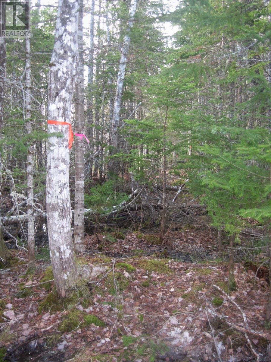 Lot 1 Hunter Road, Wentworth, Nova Scotia  B0M 1Z0 - Photo 9 - 202604133