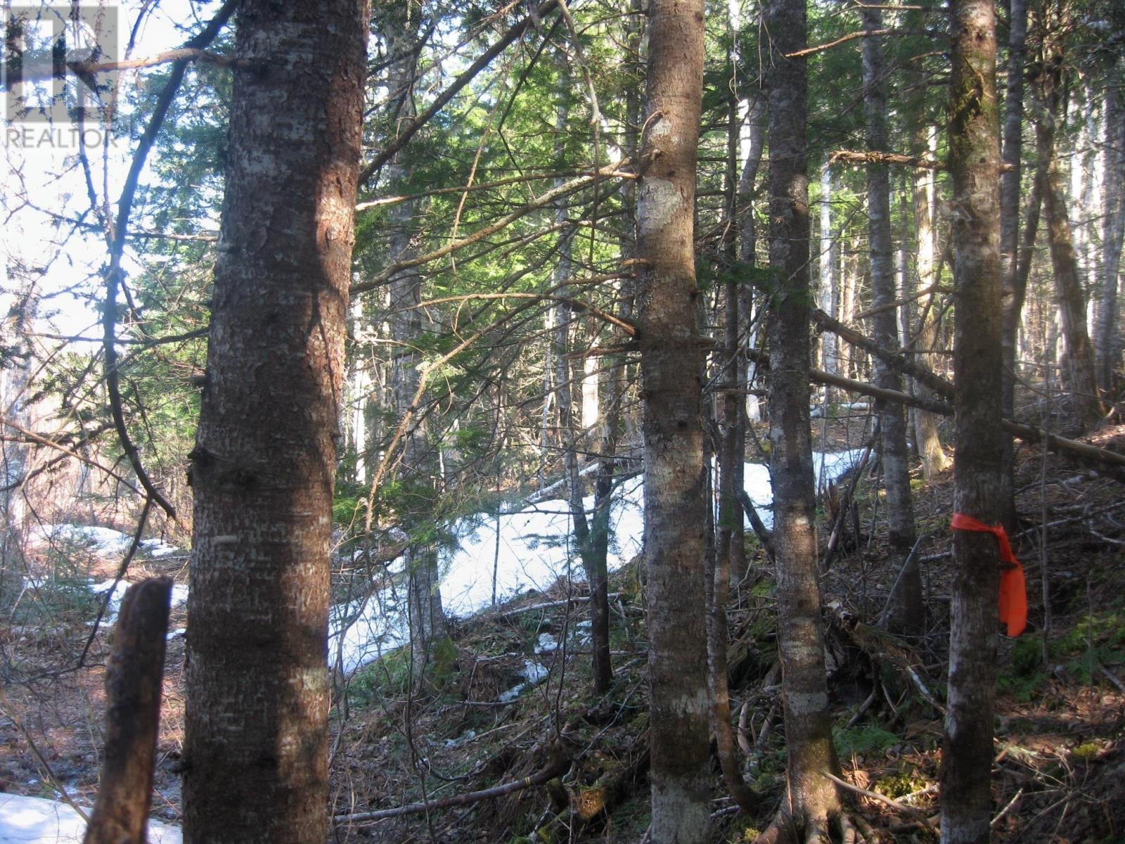 Lot 1 Hunter Road, Wentworth, Nova Scotia  B0M 1Z0 - Photo 7 - 202604133