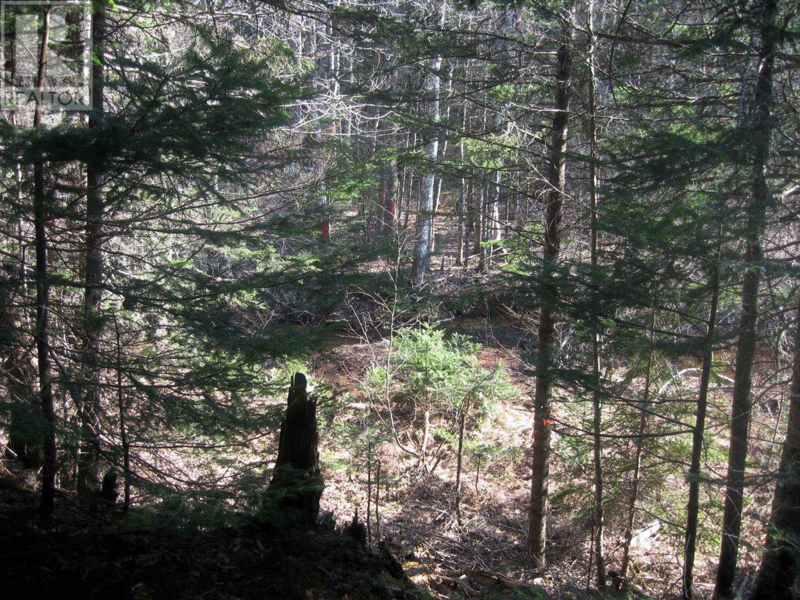 Lot 1 Hunter Road, Wentworth, Nova Scotia  B0M 1Z0 - Photo 11 - 202604133