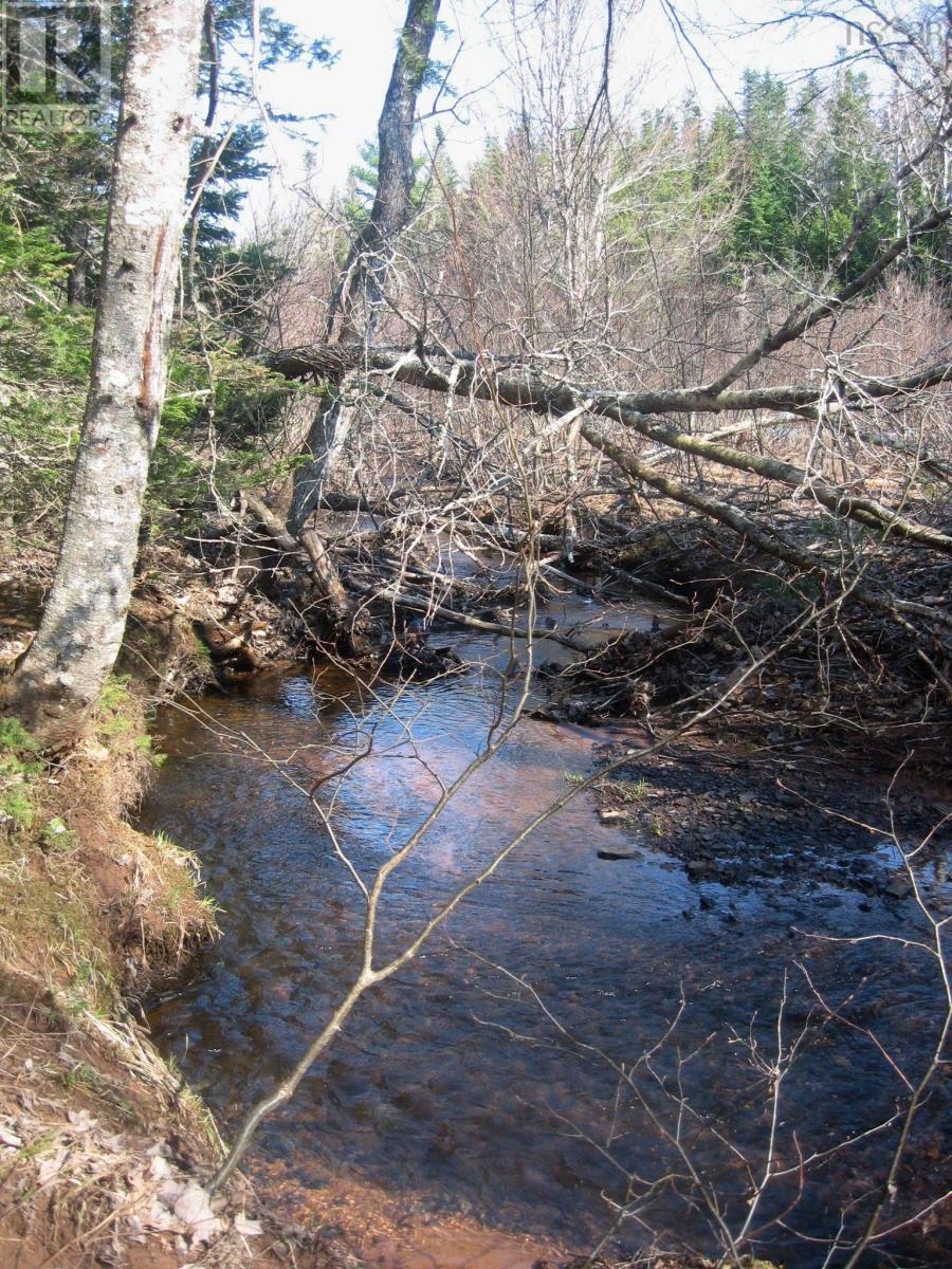 Lot 1 Hunter Road, Wentworth, Nova Scotia  B0M 1Z0 - Photo 5 - 202604133