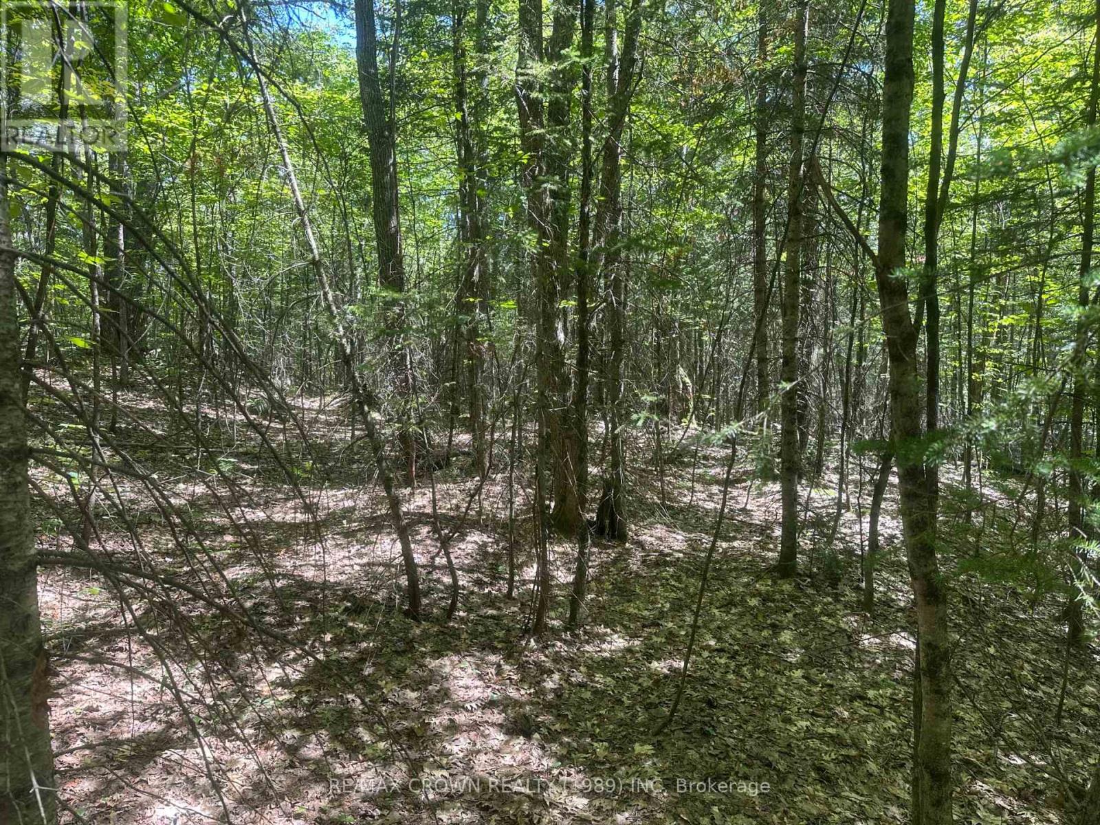 Part Lot 14 Concession 7, Mcmurrich/monteith, Ontario  P0A 1Y0 - Photo 16 - X13533944