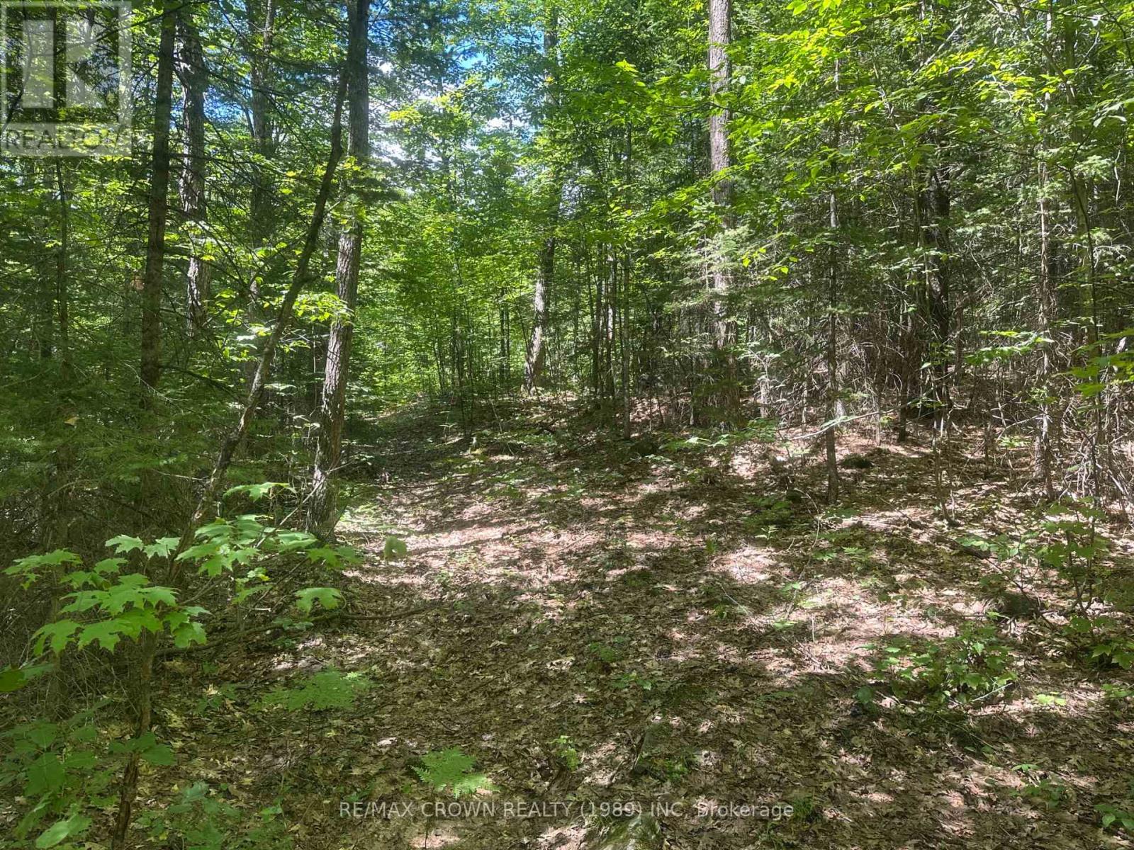 Part Lot 14 Concession 7, Mcmurrich/monteith, Ontario  P0A 1Y0 - Photo 14 - X13533944