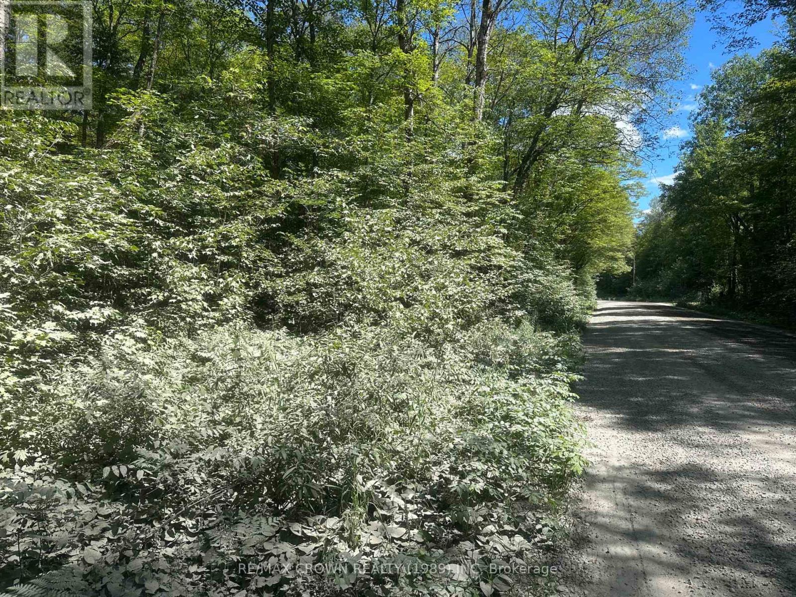 Part Lot 14 Concession 7, Mcmurrich/monteith, Ontario  P0A 1Y0 - Photo 19 - X13533944