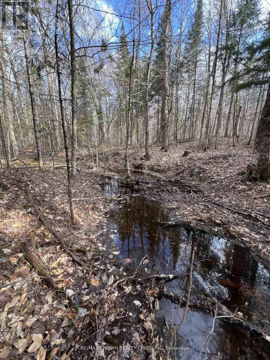 PART LOT 14 CONCESSION 7, McMurrich/Monteith, Ontario