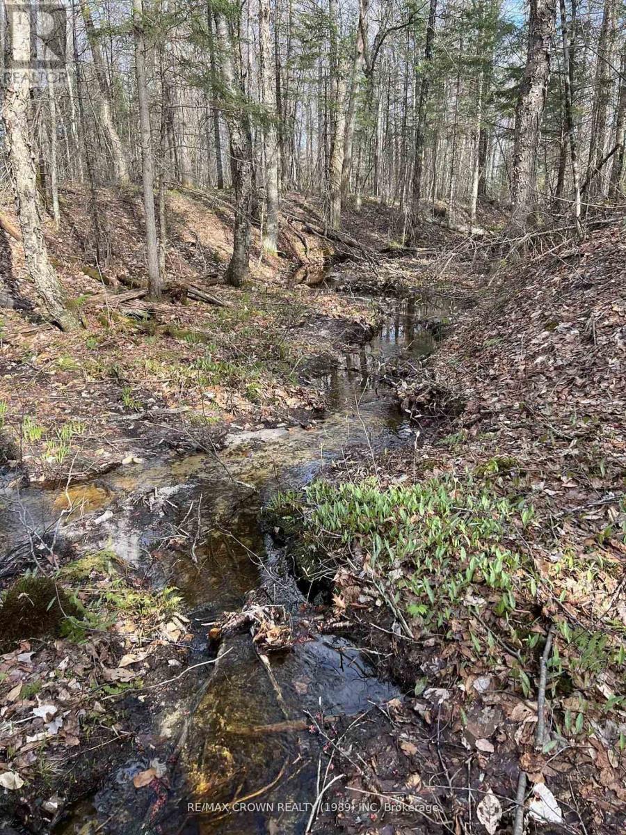 Part Lot 14 Concession 7, Mcmurrich/monteith, Ontario  P0A 1Y0 - Photo 2 - X13533944