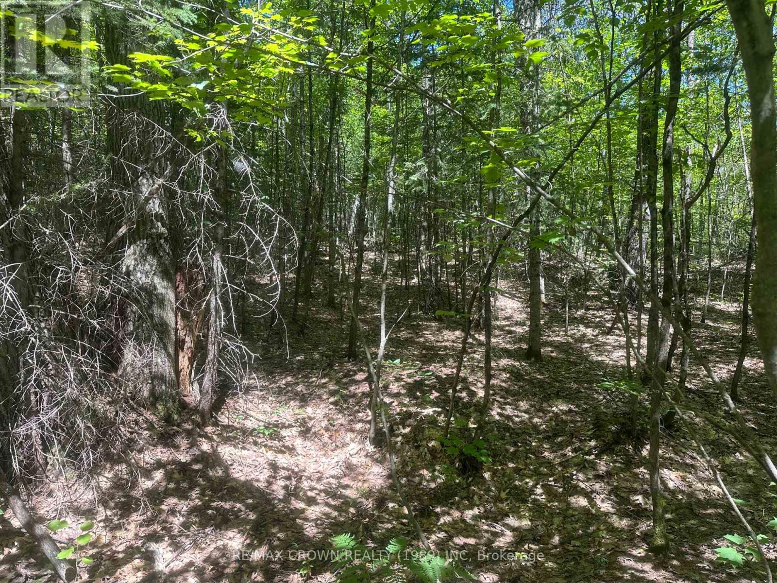Part Lot 14 Concession 7, Mcmurrich/monteith, Ontario  P0A 1Y0 - Photo 15 - X13533944