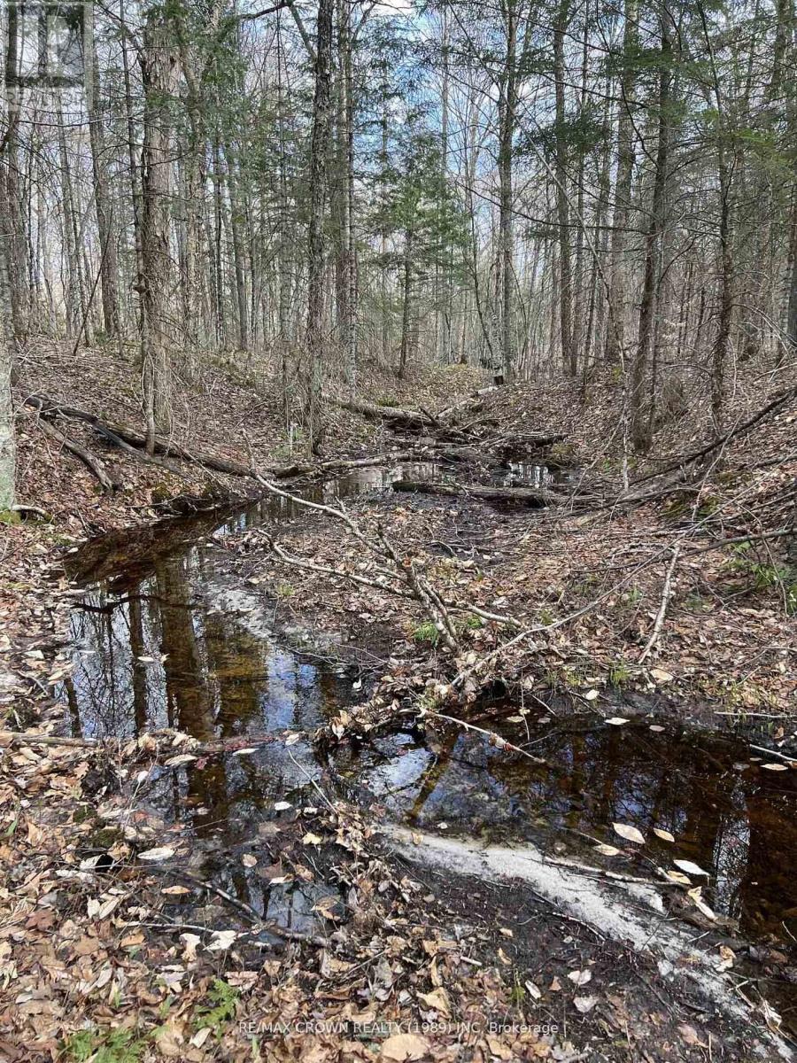 Part Lot 14 Concession 7, Mcmurrich/monteith, Ontario  P0A 1Y0 - Photo 4 - X13533944