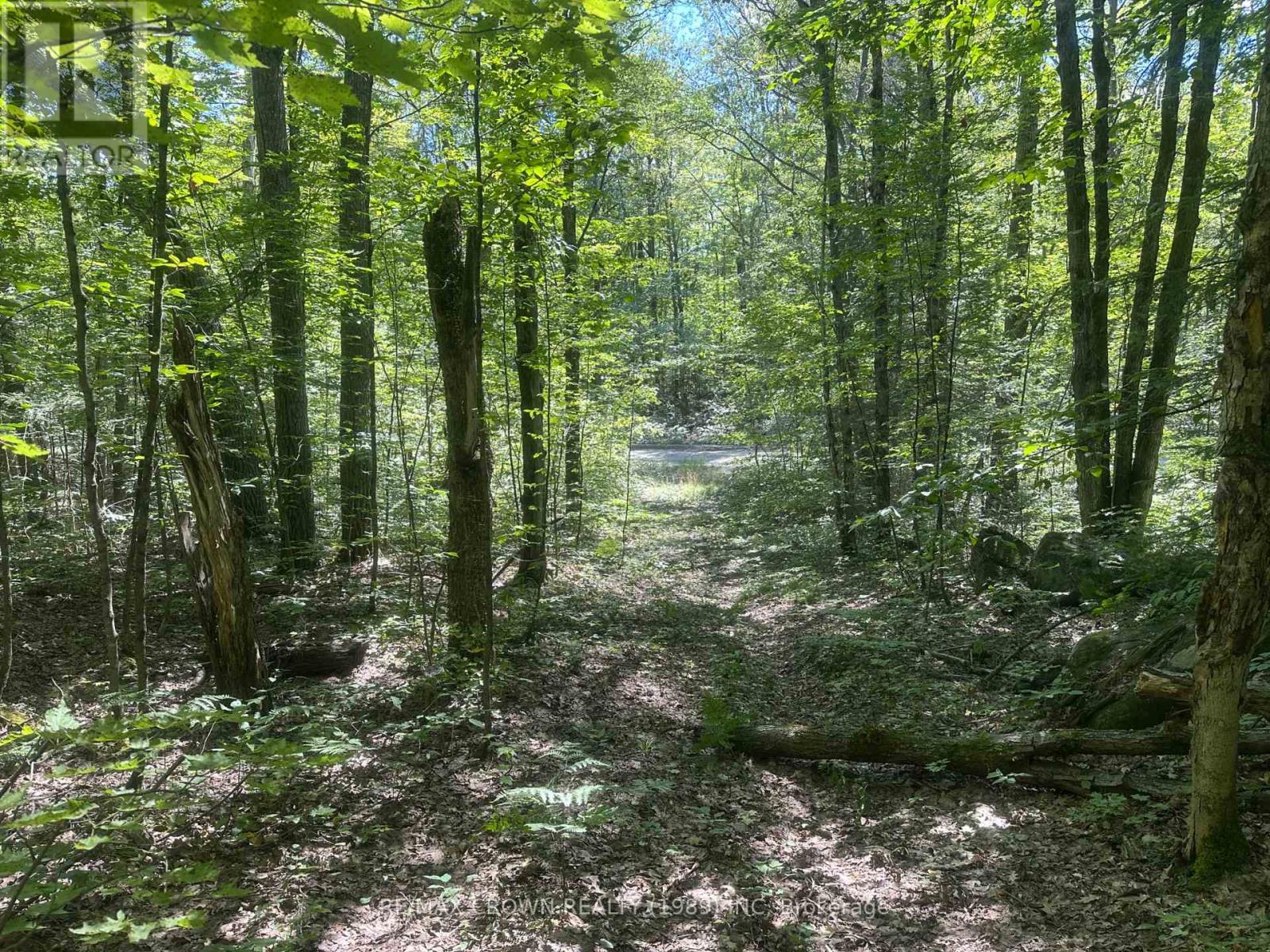 Part Lot 14 Concession 7, Mcmurrich/monteith, Ontario  P0A 1Y0 - Photo 18 - X13533944