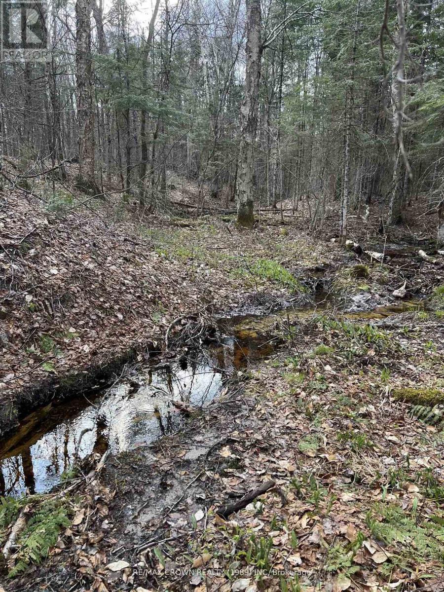 Part Lot 14 Concession 7, Mcmurrich/monteith, Ontario  P0A 1Y0 - Photo 5 - X13533944