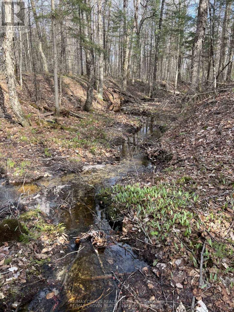 Part Lot 14 Concession 7, Mcmurrich/monteith, Ontario  P0A 1Y0 - Photo 3 - X13533944