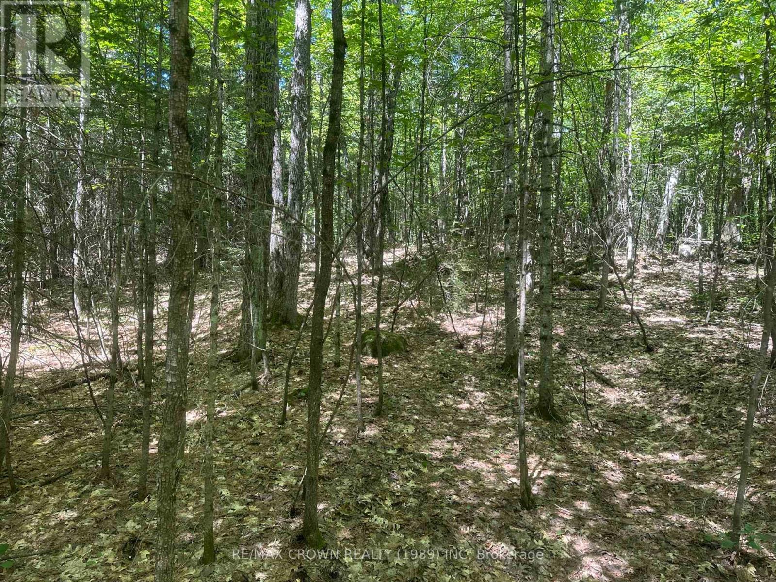 Part Lot 14 Concession 7, Mcmurrich/monteith, Ontario  P0A 1Y0 - Photo 17 - X13533944