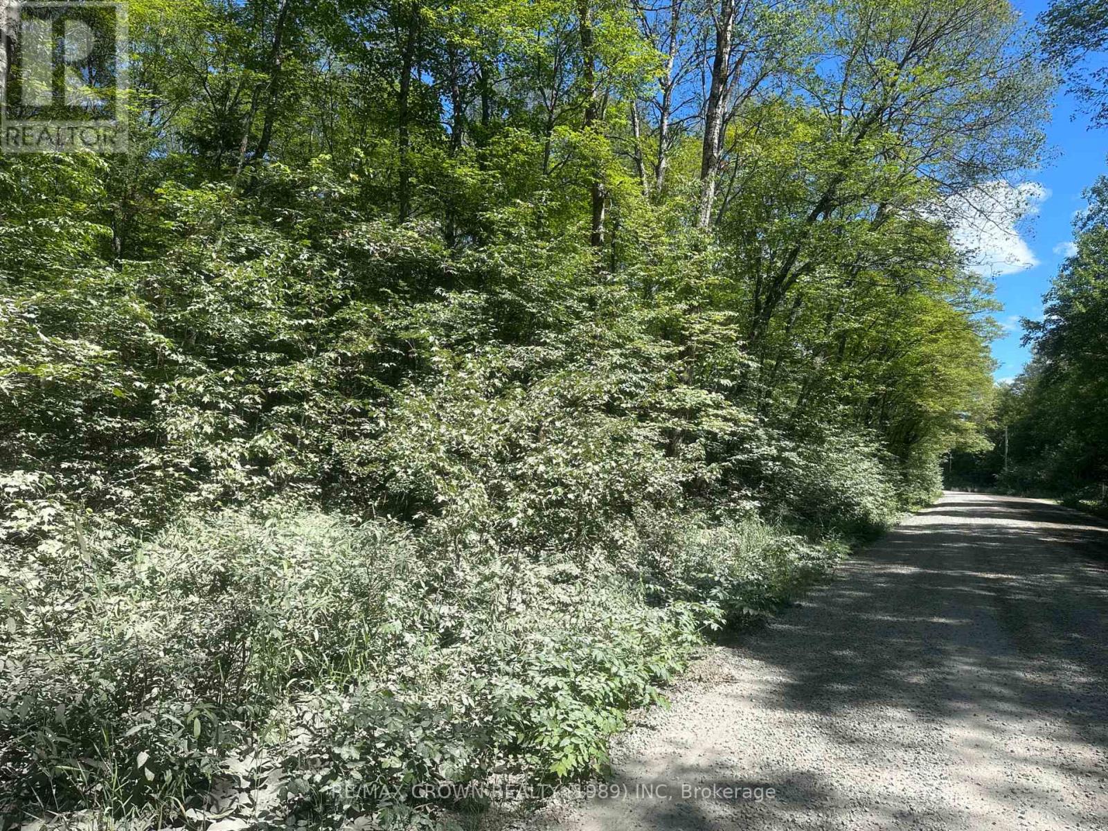 Part Lot 14 Concession 7, Mcmurrich/monteith, Ontario  P0A 1Y0 - Photo 20 - X13533944