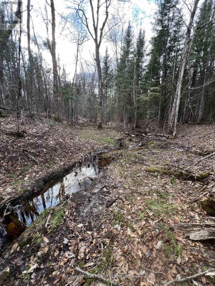 Part Lot 14 Concession 7, Mcmurrich/monteith, Ontario  P0A 1Y0 - Photo 7 - X13533944