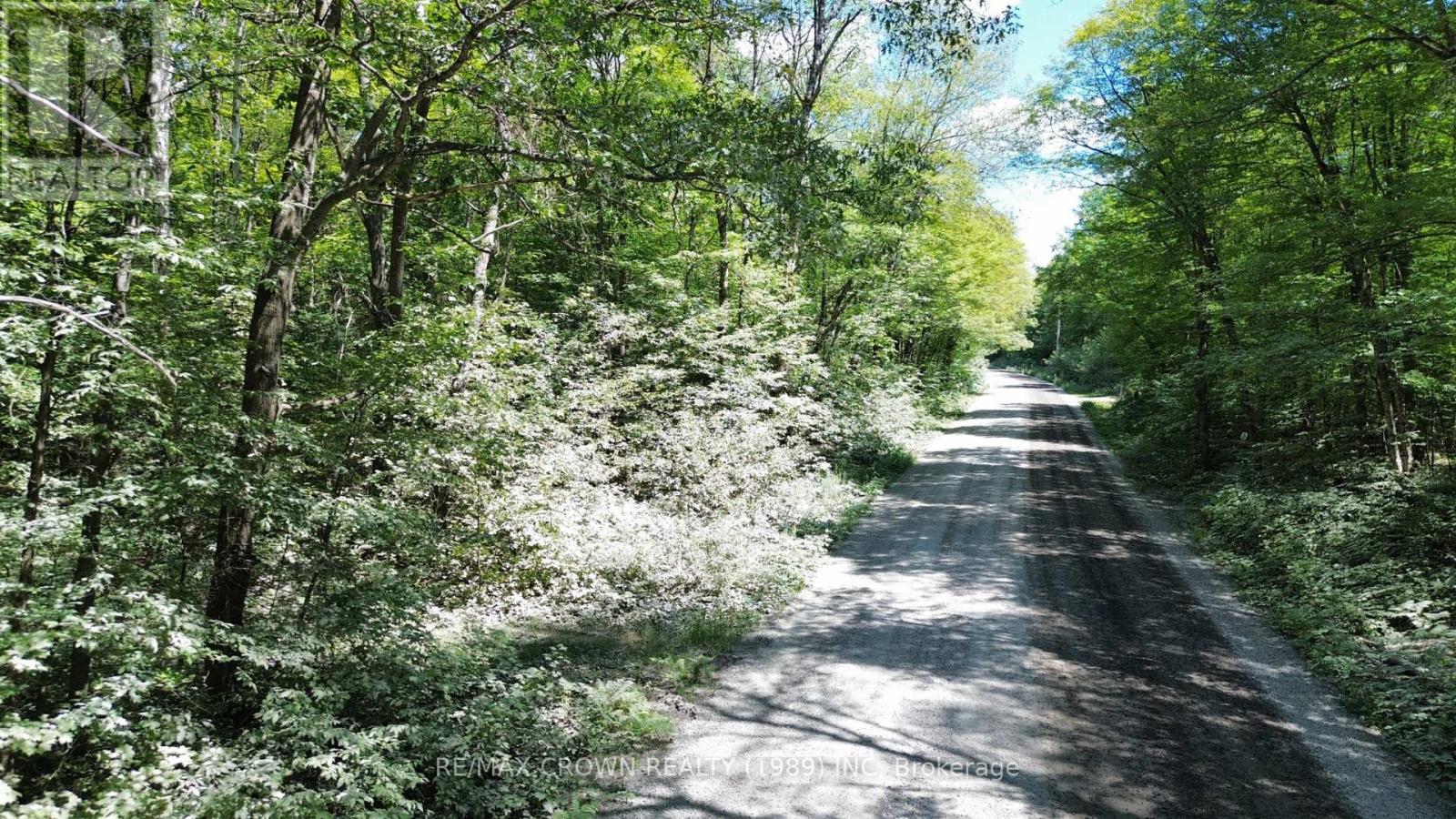 Part Lot 14 Concession 7, Mcmurrich/monteith, Ontario  P0A 1Y0 - Photo 8 - X13533944