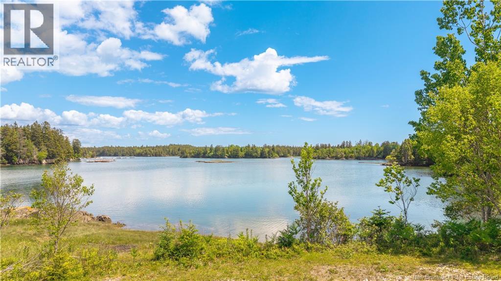 768 Route 172, Back Bay, New Brunswick  E5C 1W2 - Photo 43 - NB136486