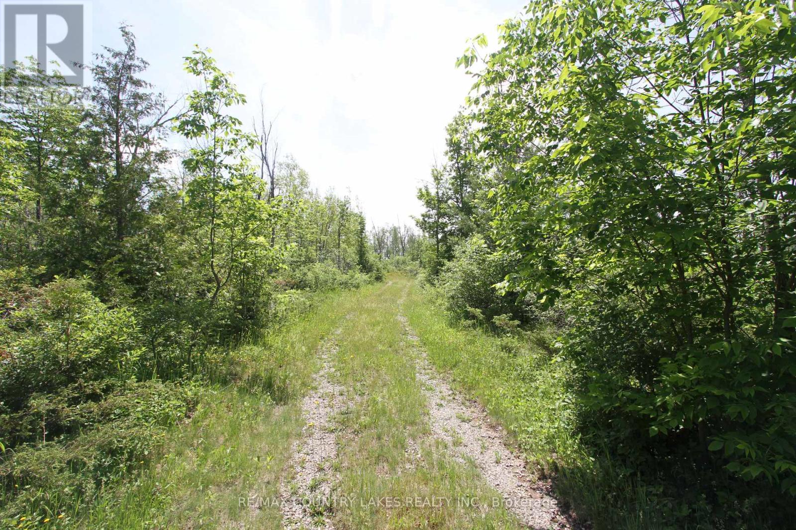 Lt27 Ramblewood Trail, Kawartha Lakes, Ontario  K0M 2B0 - Photo 6 - X13429328
