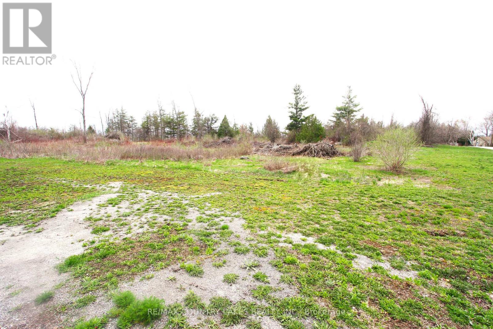 Lt 2 Redcap Beach Lane, Kawartha Lakes, Ontario  K0M 2B0 - Photo 11 - X13053044