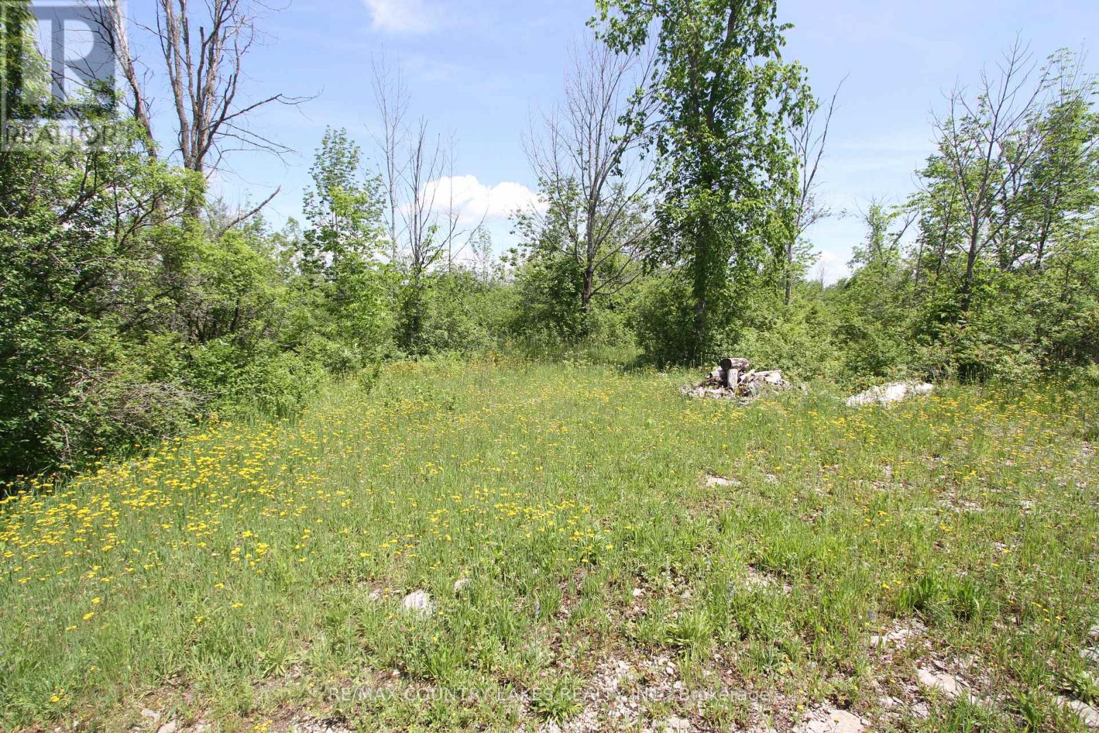 Lt27 Ramblewood Trail, Kawartha Lakes, Ontario  K0M 2B0 - Photo 12 - X13429328
