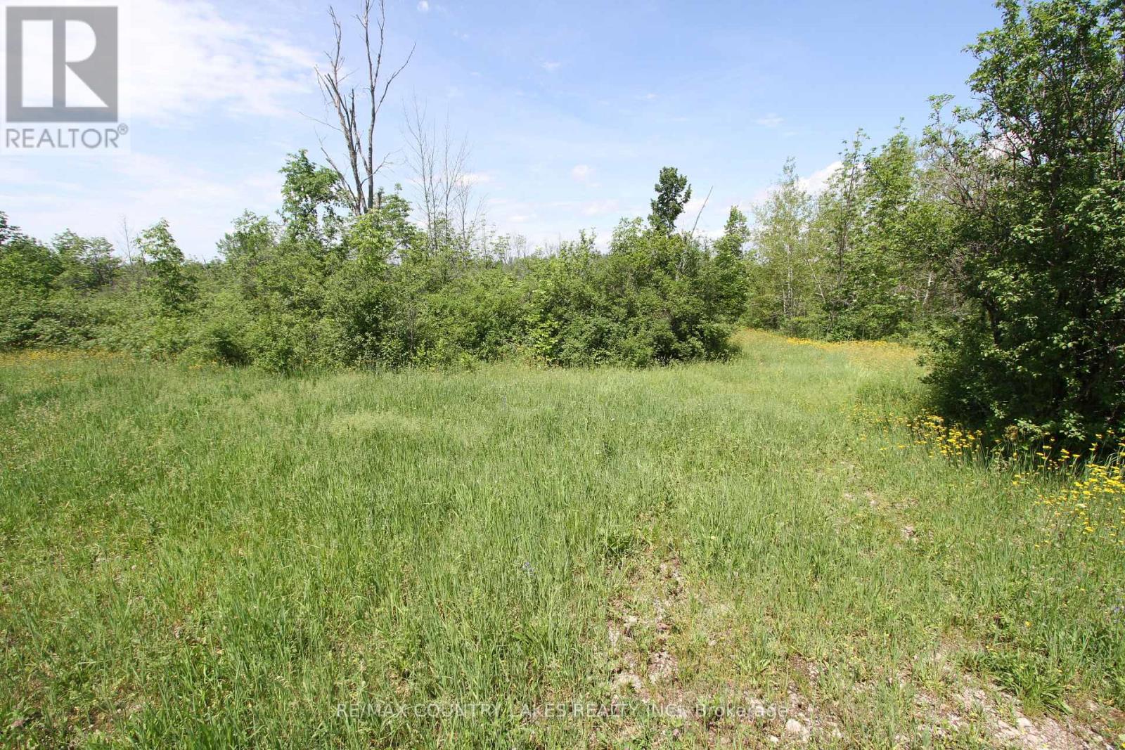 Lt27 Ramblewood Trail, Kawartha Lakes, Ontario  K0M 2B0 - Photo 9 - X13429328