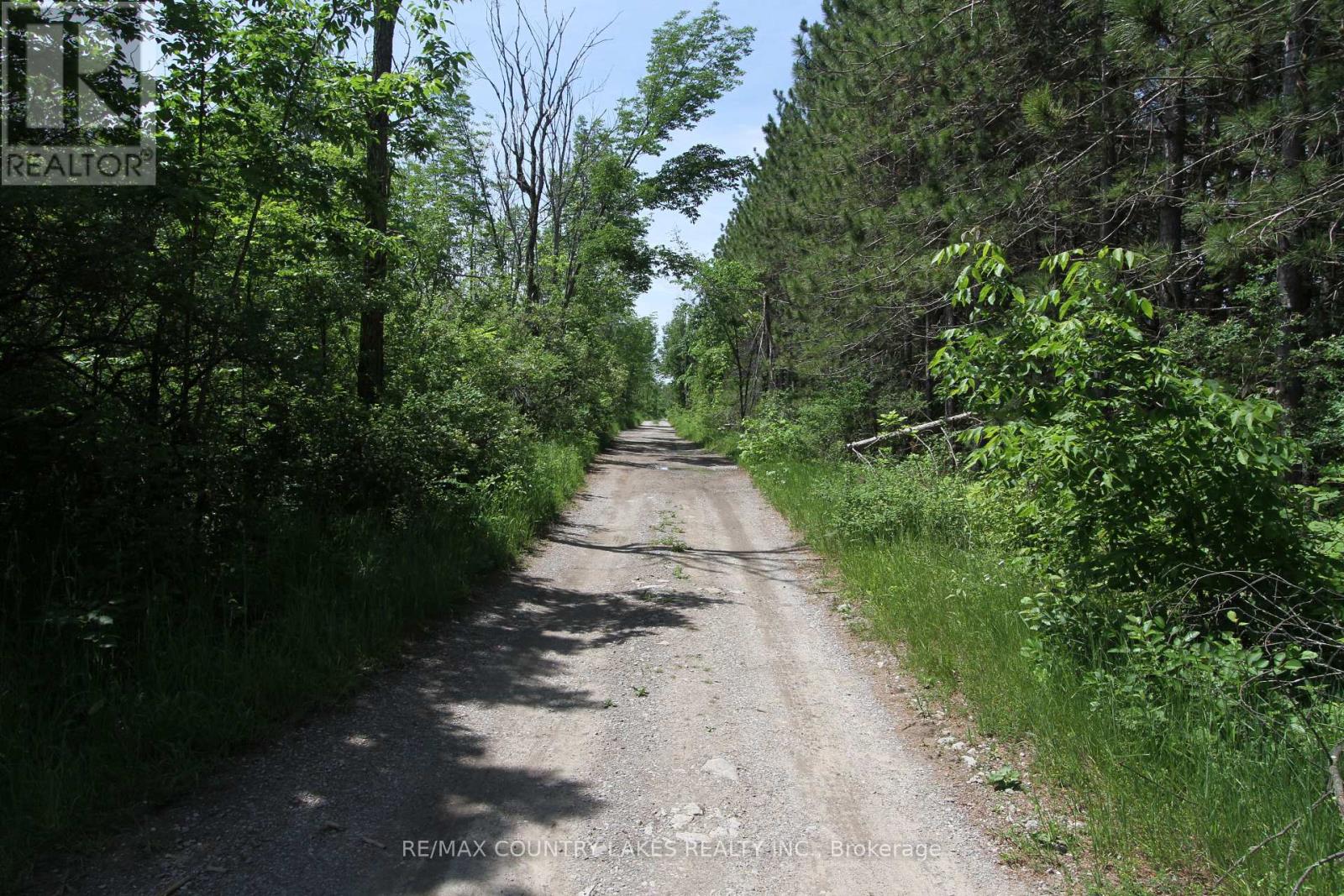 Lt27 Ramblewood Trail, Kawartha Lakes, Ontario  K0M 2B0 - Photo 16 - X13429328