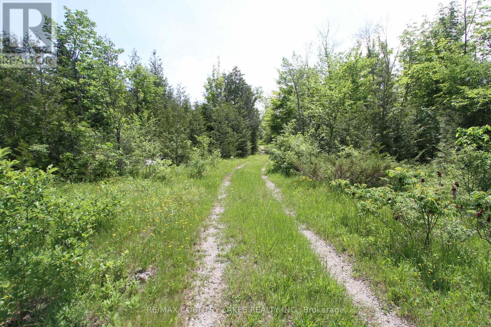 Lt27 Ramblewood Trail, Kawartha Lakes, Ontario  K0M 2B0 - Photo 3 - X13429328