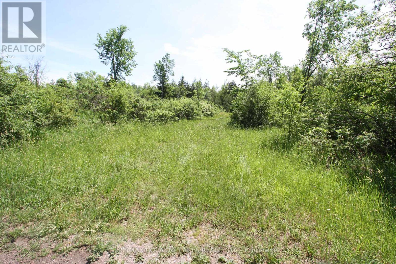 Lt27 Ramblewood Trail, Kawartha Lakes, Ontario  K0M 2B0 - Photo 10 - X13429328