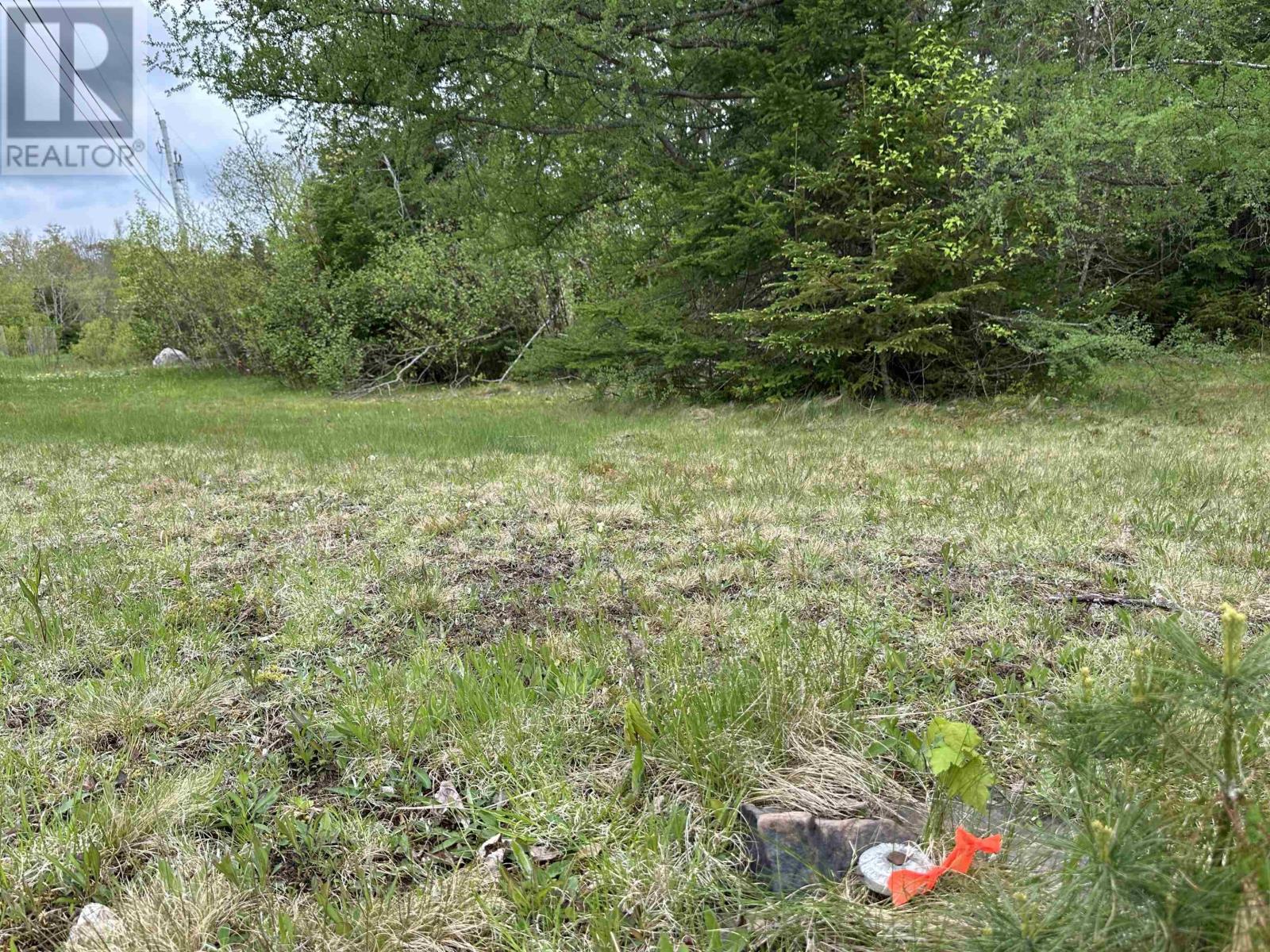 Lot 19 Acres+- Wallace Road, Hazel Glen, Nova Scotia  B0K 2A0 - Photo 9 - 202619442