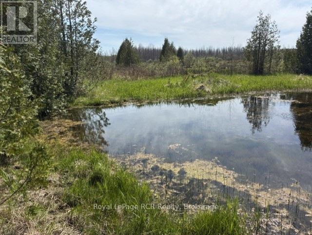N/a Sutter Road Road W, Northern Bruce Peninsula, Ontario  N0H 1W0 - Photo 1 - X13212422