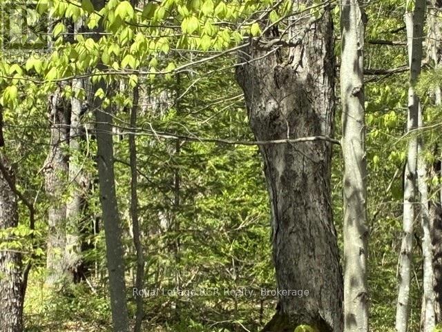 N/a Sutter Road Road W, Northern Bruce Peninsula, Ontario  N0H 1W0 - Photo 13 - X13212422