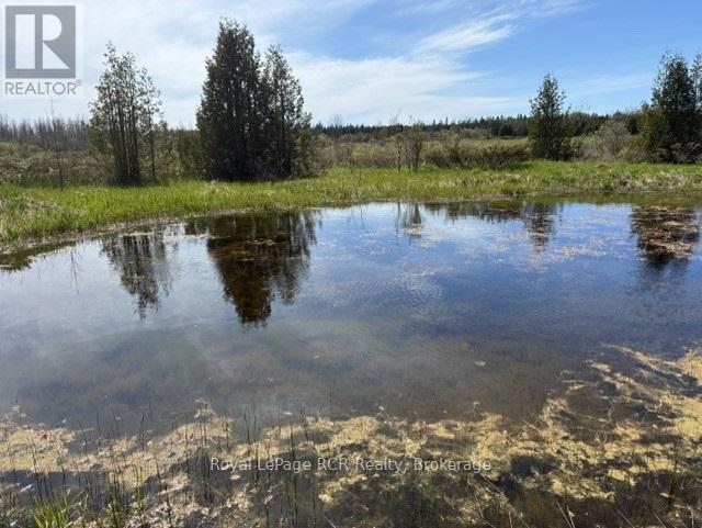 N/a Sutter Road Road W, Northern Bruce Peninsula, Ontario  N0H 1W0 - Photo 2 - X13212422