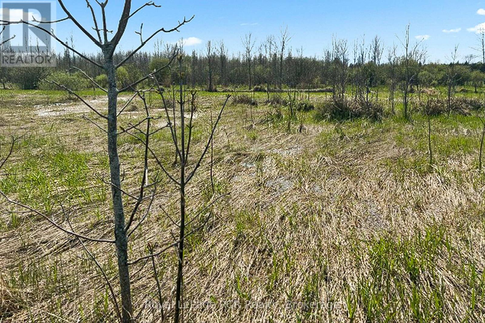 N/a Sutter Road Road W, Northern Bruce Peninsula, Ontario  N0H 1W0 - Photo 19 - X13212422