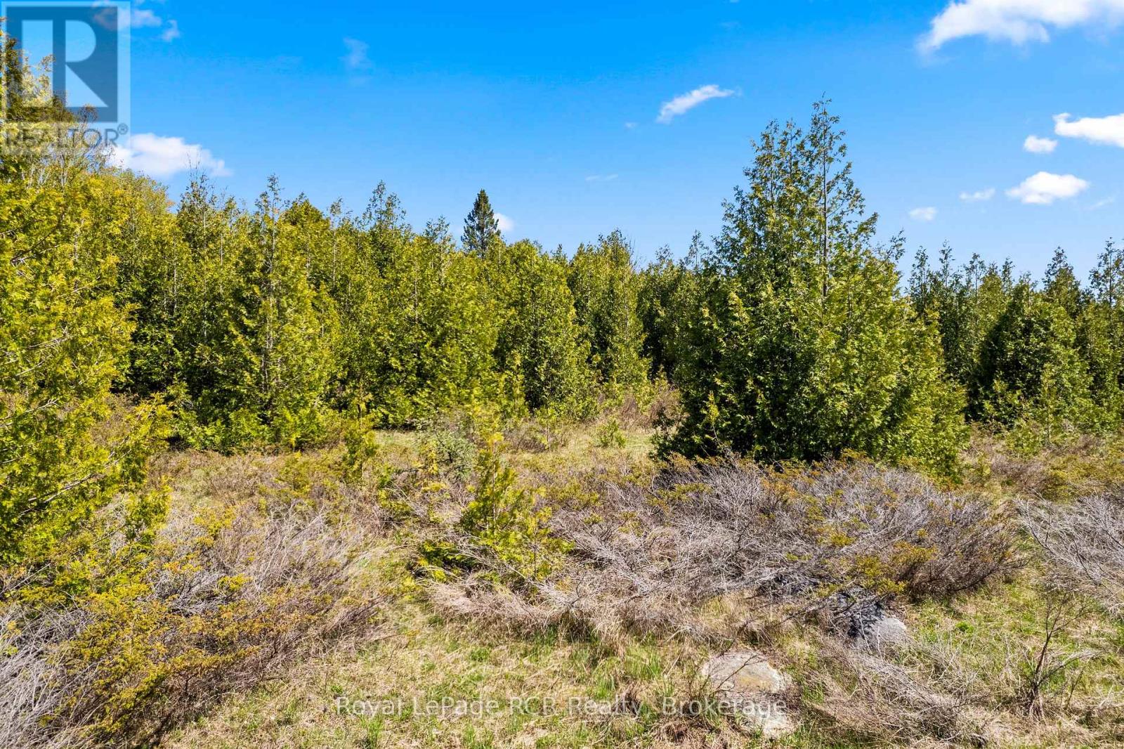 N/a Sutter Road Road W, Northern Bruce Peninsula, Ontario  N0H 1W0 - Photo 25 - X13212422